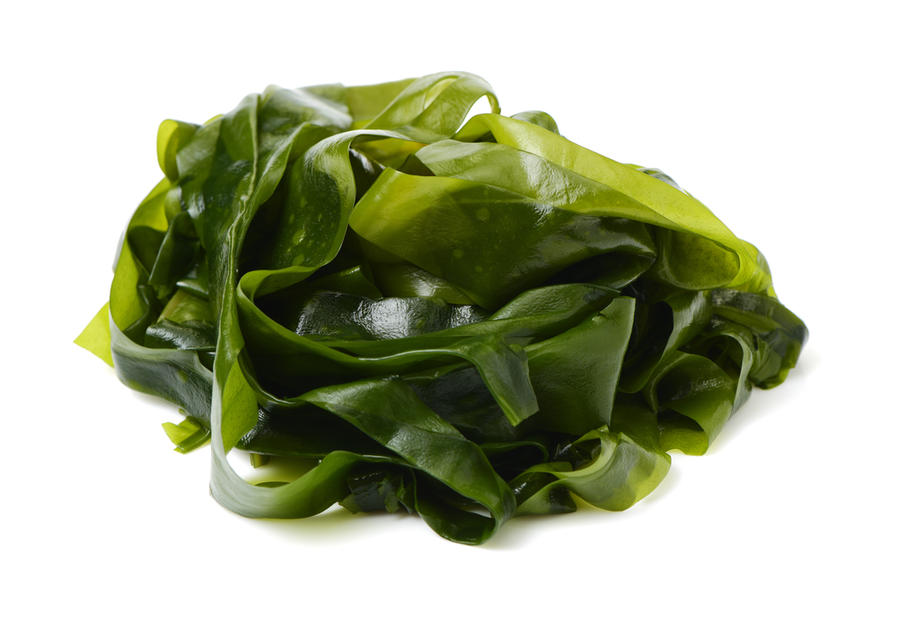 Alga-wakame.jpg